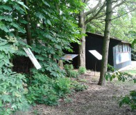 Sfeerimpressie camping - Camping &rsquo;t Haldert